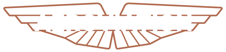Aero Aviation Logo